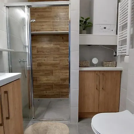 Wilczy Potok 400m Od Wyciagu Beskid Sport Arena - Dream 公寓 *